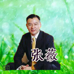 张薇